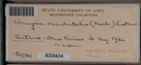 Image Associated With the Occurence